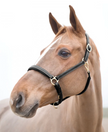 Horze Largo Leather Halter