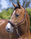 LeMieux Anatomic Halter