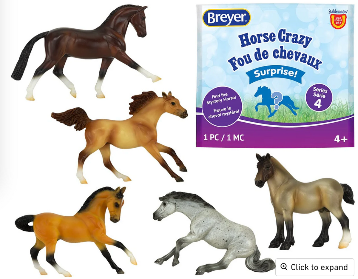 Mystery Horse Surprise
