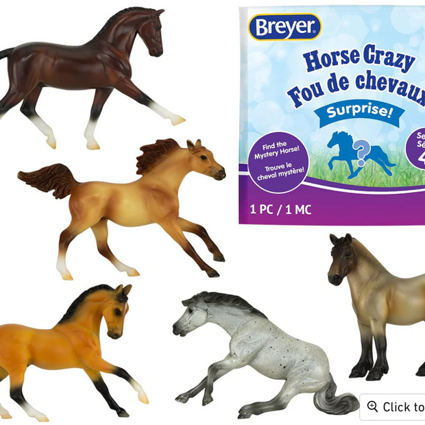 Mystery Horse Surprise