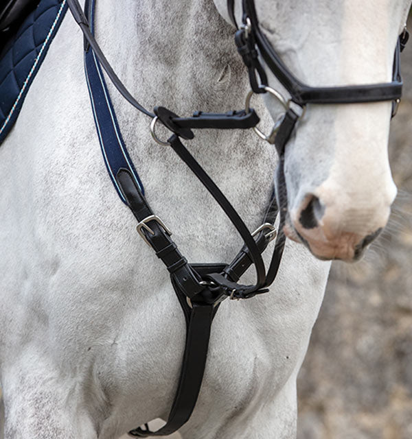 Rambo Micklem Martingale