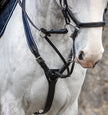 Rambo Micklem Martingale