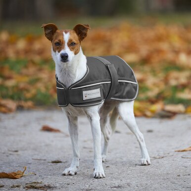 Comfort Line Dog Coat