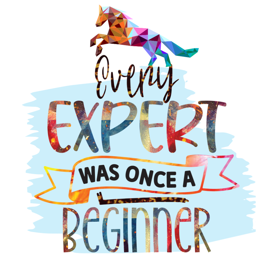 Every Expert Was Once A  Beginner… Sticker