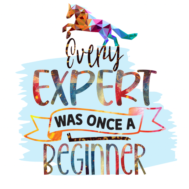 Every Expert Was Once A  Beginner… Sticker