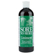 Sore No-More Liniment Bottle with Sprayer (16-Ounce)