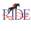 RIDE Every Stride Sticker