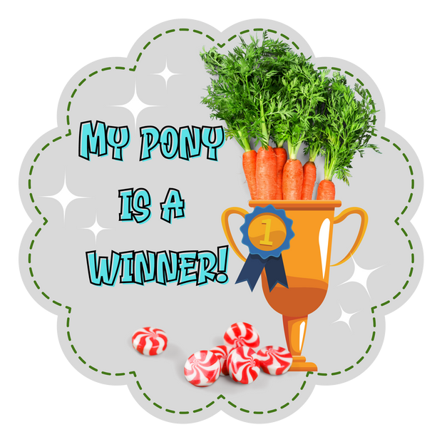 My Pony is A Winner