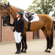 LeMieux Crystal Flyhood