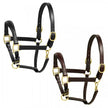 Aramas Fancy Raised Padded Halter - Black