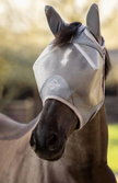 Amour Shield Pro Standard Fly Mask