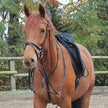 Waldhausen Martingale Star - Black Full