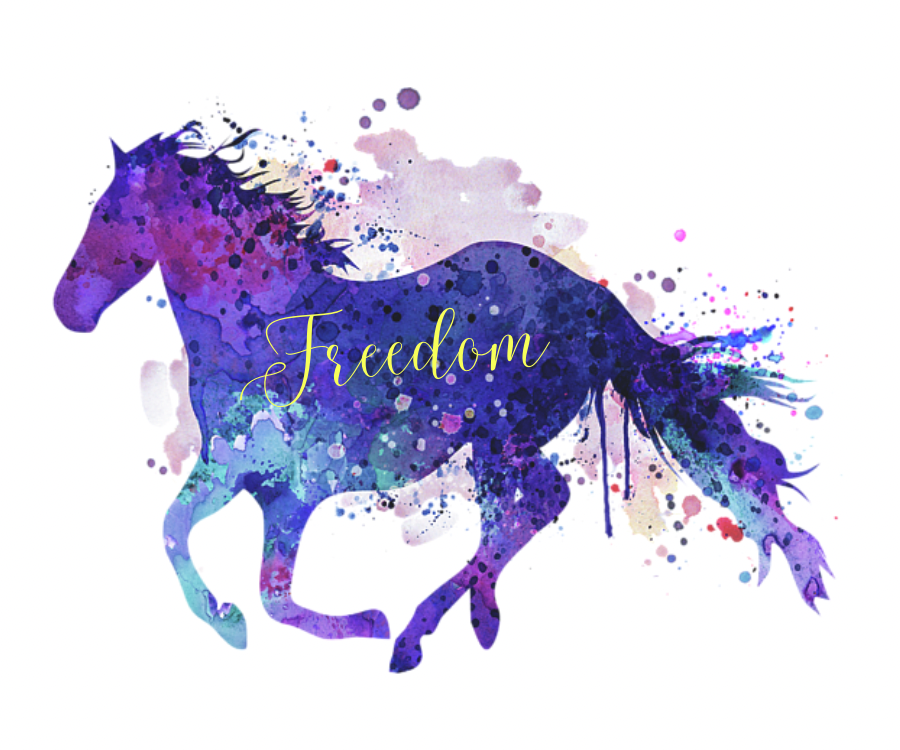 Freedom Horse - Sticker