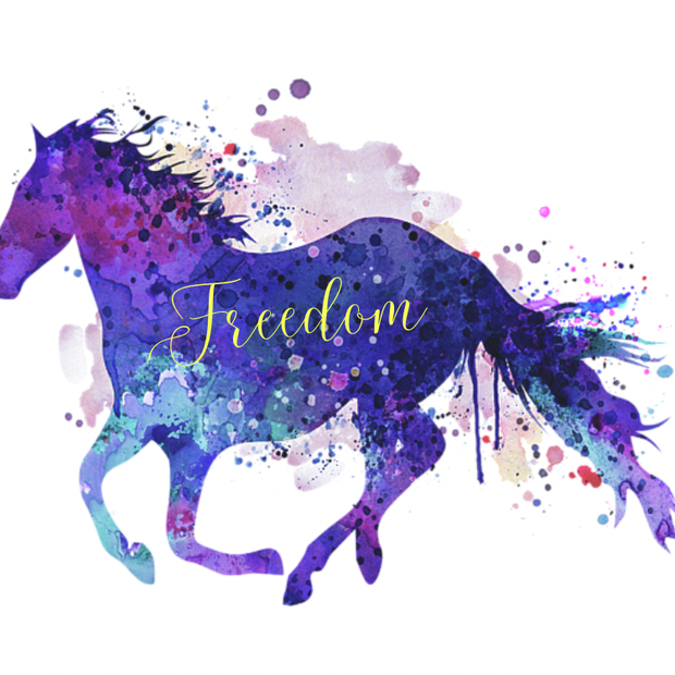 Freedom Horse - Sticker