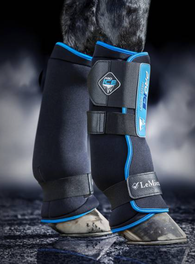 LeMieux ProIce Freeze Boots