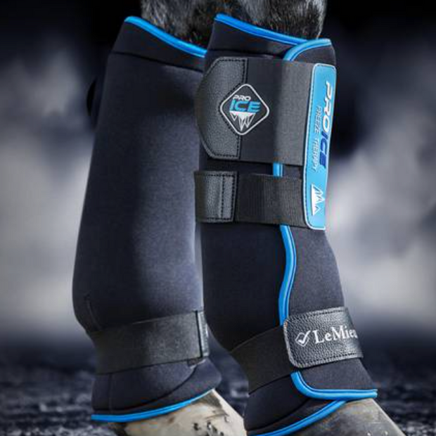 LeMieux ProIce Freeze Boots
