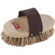 Grooming Brush Horse