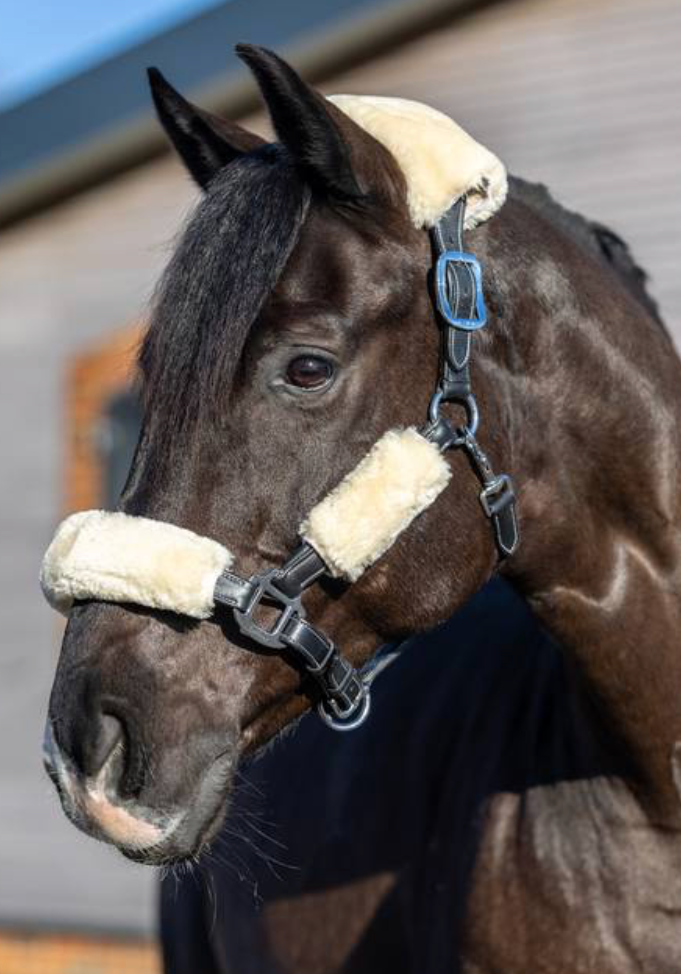 LeMieux Simuwool Headcollar Set