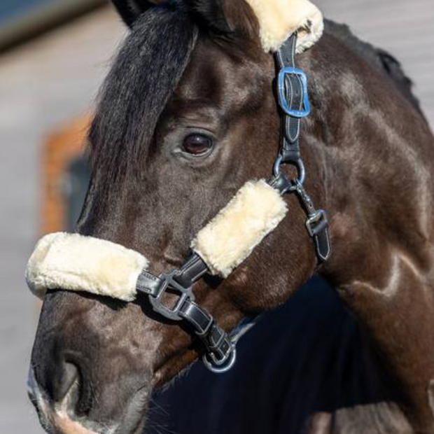 LeMieux Simuwool Headcollar Set
