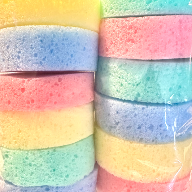 Rainbow Tack Sponge - Set of 12