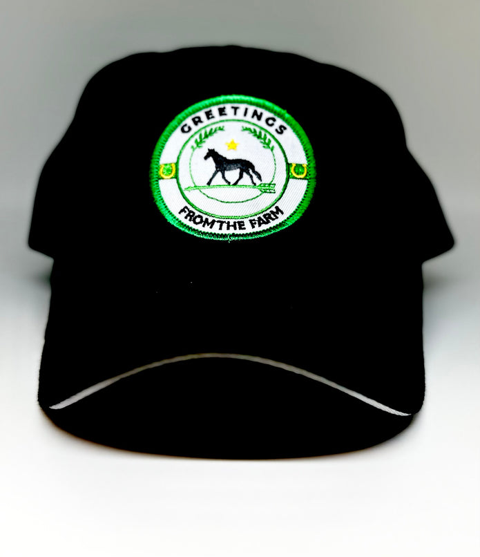 Black Stallion Designs - Embroidered Patch Caps 2