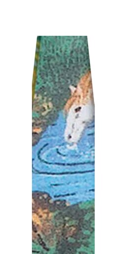 Ladies Zock Socks