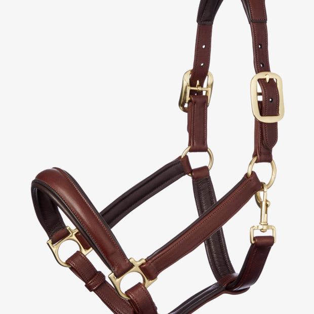 LeMieux Anatomic Halter