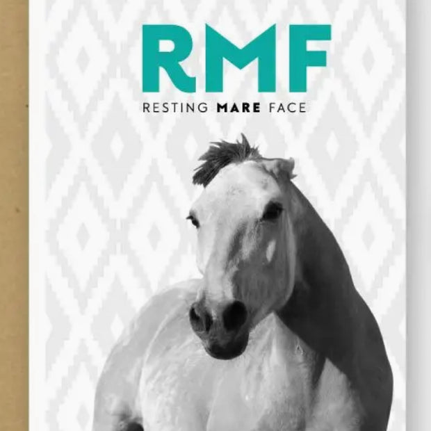 Hunt Seat Resting Mare Face