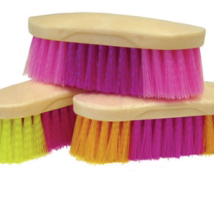 Rainbow Dandy Brush