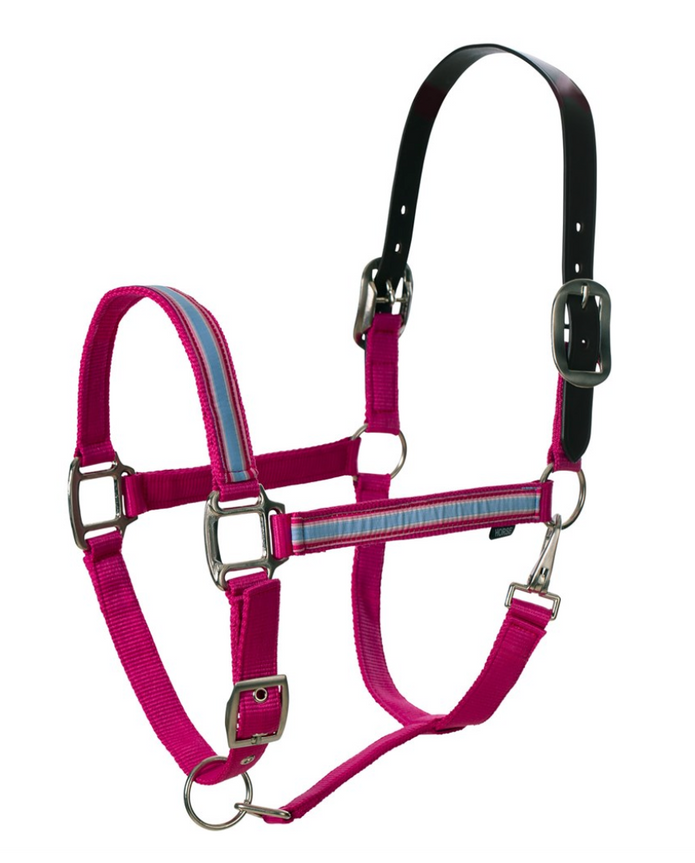 Equinvavia Pegasus Ribbon Halter