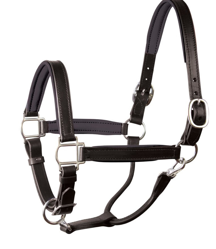 Perri's Soft Padded Leather Halter