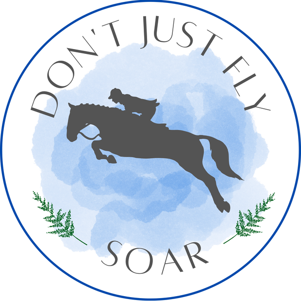 Don't Just Fly - Soar