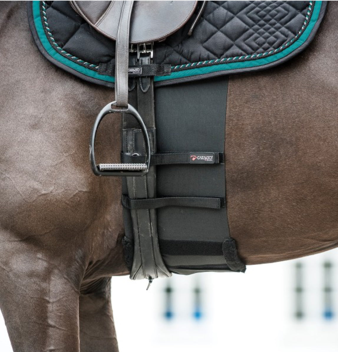 Catago Body Shield - Belly Band