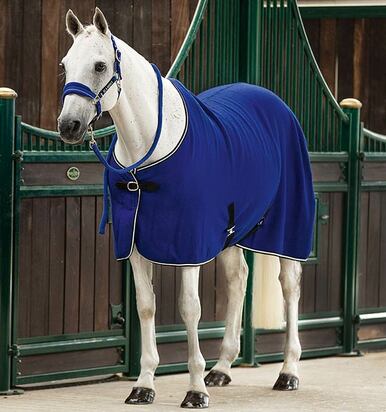 Rambo Wool Sheet - Royal Blue & Silver